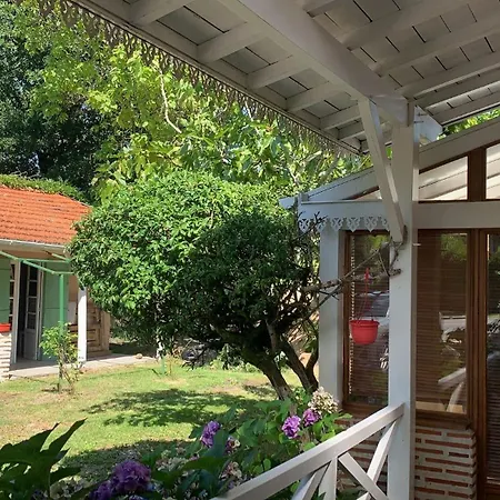 Prázdninový dům L Arbousier-bassin D'arcachon